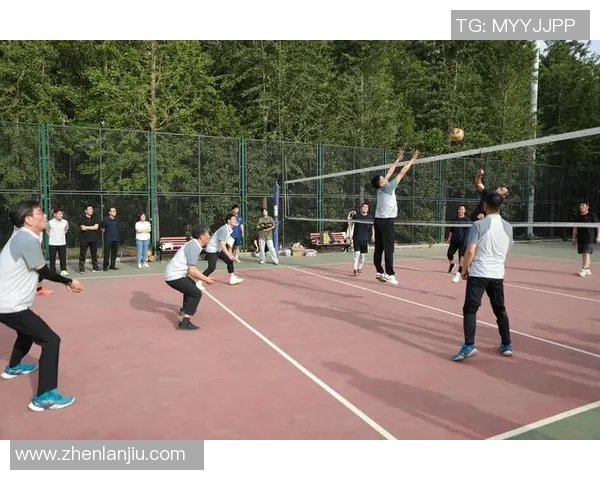 成都排球队在全国排球灵活性排行榜中荣获第七名的佳绩引发关注